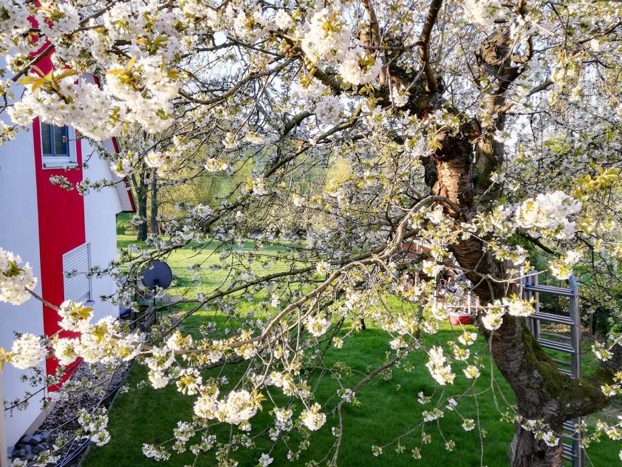 Ferienhaus Goermer Mit Wasserbett Schmölln Buitenkant foto